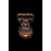 singe