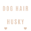 chien husky
