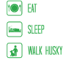 Husky dog