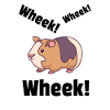 GUINEA PIG GUINEA: Wheek! Wheek!