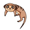 Suricate