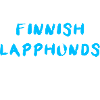 Finnish Lapphund