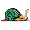 caracol dibujo fatiga sombra concha