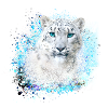 schneeleopard,katze,leopard,graffiti,weiß,wildkatz