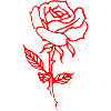 Minimalist Red Rose