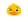 Duck wink