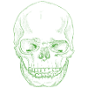 SkullSketchDarkGreen