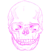 SkullSketchPink