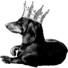 King Dachshund