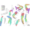 Bunte abstrakte Schals
