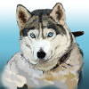 Husky