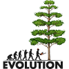 Tronçonneuse Evolution Grey Big Tree