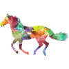 Pferd