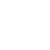 Waffe 1911