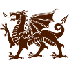 The Red Dragon