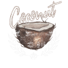 Coconut lover fruit coconut