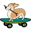 Dog on skateboard