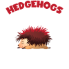 hedgehog