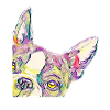 bulldog