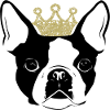 Dog with crown