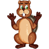 Beaver hands up