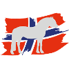 Fjordpferd mit Flagge hell