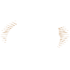 Craftsman
