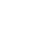 Craftsman