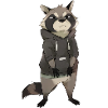 Waschbär mit Sweatshirt