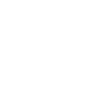 roller coaster