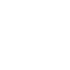 roller coaster