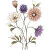 Fleurs