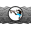 Briflip 9