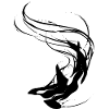 Killer whale flash