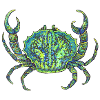 gloomy crab