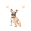 Frenchi saying french bulldog