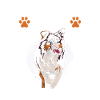 Australian Shepherd Gift Saying