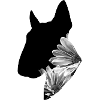 Bullterier de fleurs