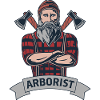 Baumkletterer Baumpfleger Arborist Baumpflege