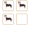 Husky dog