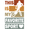 Extreme Sports BMX Halfpipe Break