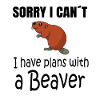 BEAVER : Plans with a Beaver