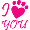 Dog dog