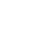 Cockroach Insect Entomology