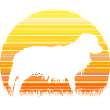Kooikerhondje Kooiker sunrise silhouette