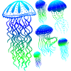 Jellyfish fuorescent BytheManzanitas