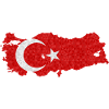 Tyrkiet Flag skitserer tyrkisk Flag Moon Star