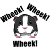 Squeaking Guinea Pig Ironic Pet