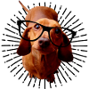 Teckel à lunettes