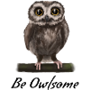 Eagle owl - besome (awesome)